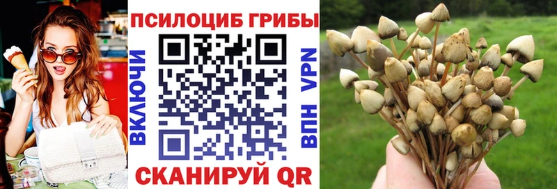цены наркотик Ялуторовск OMG рабочий сайт Галлюциногенные грибы Magic Shrooms