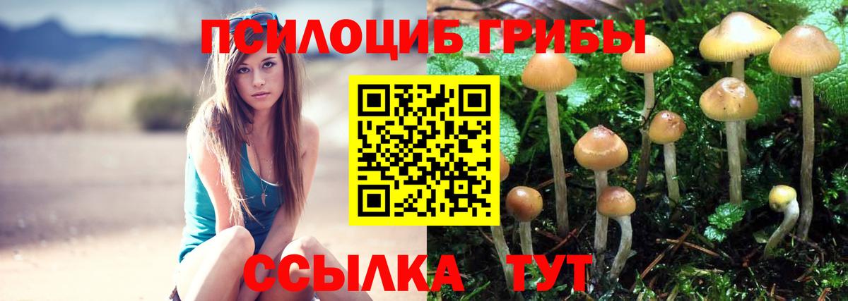 Галлюциногенные грибы Cubensis  Вход с VPN  Ялуторовск  Галлюциногенные грибы Psilocybine cubensis 